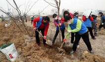 [포토] 기후위기로 빨라진 ‘온난화식목일’