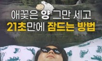 [영상 : THISCovery] 불면증은 없다! 잠 못 드는 밤 마법의 수면법