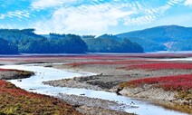 충남 가로림만·근소만 갯벌 식생 복원