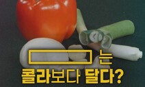 [영상 : THISCovery] ‘악마의 과일’ 두리안의 충격적 당도