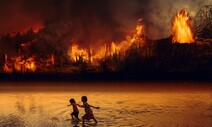 산불에 화상입은 ‘코알라의 비극’…이번 세기 35% 늘어날수도