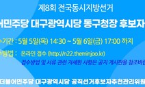 ‘남근탑 공약’ 대구 동구청장 민주당 후보, 논란 일자 결국 교체