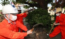 “울진·삼척 산불 피해 복구, 인공조림 대신 자연복원으로 해야”