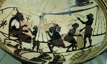 카이사르가 사랑한 묘약 ‘실피움’, 2천년 전 멸종 수수께끼 풀렸다
