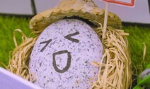 [영상 : THISCovery] ‘돌로 힐링을!’ 반려돌 분양부터 키우기까지