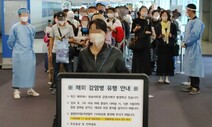 ‘원숭이두창’ 위기경보 발령…질병청 “국내 유입 가능성”