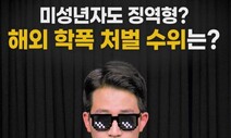 [영상 : THISCovery] 아이돌 학폭 논란…외국은 징역형·수십억 손배도 있다는데
