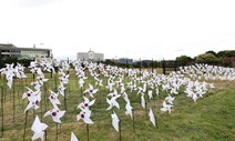 용산공원 ‘2시간 개방’ 독성 때문→무관…보름새 말바꾼 정부