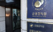 감사원, 금감원 간부 ‘음주운전’ 적발…해당 국장 업무에서 배제