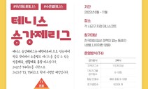 테니스 승강제리그, 7월부터 시범 운영