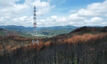 녹색연합 “발전소·송전탑이 울진·삼척 산불 피해 키워…대책 필요”