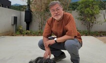문재인 전 대통령, 인스타 활동 재개…토리·찡찡이와 함께한 사진