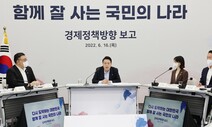 지경학적 전략의 핵심은 기업이다