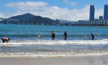 해수욕장에 ‘조개의 왕’ 산다…광안리 ‘조개잡이 성지’ 된 이유