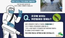 ‘사랑벌레’에 놀랐던 밤, ‘랜선 이웃’이 가르쳐준 이것