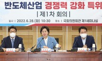 “낮은 지지율, 국민의 절대평가…프로는 남 탓 안해” 양향자 직격