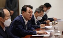 복합 경제위기의 원인과 정부의 능력