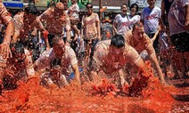 “30돈 황금반지 찾아라”…화천토마토축제 3년 만에 재개