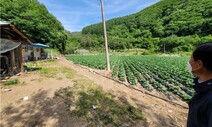 진실화해위 “60명 희생 울산 보도연맹 사건, 국가 공식 사과해야”