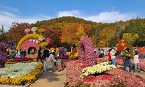 대구 관광객이 가장 많이 찾은 곳은?