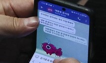 ‘체리따봉’의 나비효과 / 최혜정