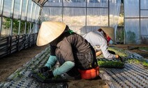 저는 ‘메이드 인 베트남’이 아녜요, 사람이에요