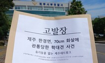 “70㎝ 화살이 죄없는 개의 몸통을 뚫었다…그놈, 잡아달라”