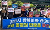 [김산하의 청개구리] 침팬지 반출 철회의 의미