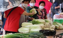 배추도 한통 1만원, 뭐 먹고 살아…포장 김치까지 동났다