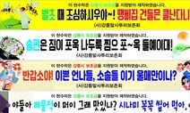 “소솔들 이기 울매만이나”…강릉 추석 펼침막에 눈길 가네