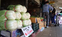 “채솟값 비싸 나물 반찬은 엄두도 못 내”…영양사도 사장님도 ‘한숨’