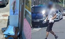 포항 고양이 연쇄 살해범 징역 2년 6개월…동물학대 잇단 실형