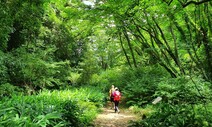 화산섬 탄생의 비밀을 찾아라…제주 세계유산축전 열린다