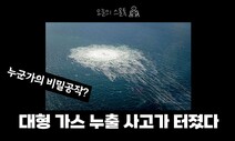 노르트스트림 가스관 파괴, 의도적 공작이다?