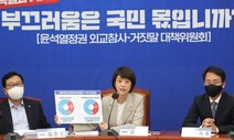 [말글살이] 거짓말과 개소리