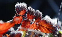 아직 10월인데 춘천에 첫 얼음…곳곳 때 이른 ‘한파 특보’