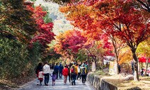 알록달록 물든 남도…3년 만에 곳곳에서 단풍 축제