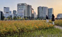 [배정한의 토포필리아] 금단의 땅에서 도시의 여백으로
