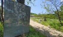 개농장 구조견 입양 추진 중 시설 철거명령에…법원 “과도”