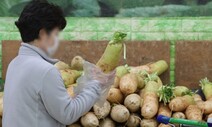 모르면 못 쓰는 농축수산물 할인쿠폰…저소득층 수혜 ‘물음표’