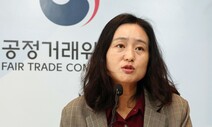 공정위 “대기업 금융사 의결권 행사 24건 위법 여부 조사 중”