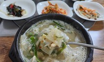 바다와 산이 키운 ‘울릉도의 맛’, 이것만은 꼭 먹자! [ESC]