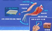 ‘전자피부’가 뭐지? 올해 10대 나노기술 첫번째 자리에