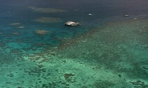 세계 최대 산호초 군락, 기후변화로 ‘위험에 처한 유산’ 등재 권고