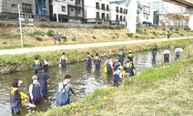 바닷물고기 이어 민물고기 떼죽음…유독물질 흘려보낸 업체 적발