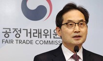 “구글·애플 앱마켓 독과점 심각” 공정위, 플랫폼 ‘사전규제’ 법제화 힘 싣나