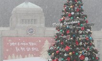 함박눈 내린 도시…퇴근길 조심하세요! [만리재사진첩]