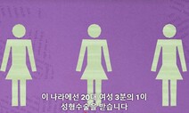 욕망과 혐오 사이 ‘성형 강국’ 100년의 혼란 [이유진의 바디올로지]