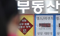 [단독] ‘잠실 사랑’ 공인중개사 담합 1심서 무죄…왜?