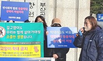 잔인하게 고양이 죽였는데 집행유예 그친 이유 “길냥이라서”